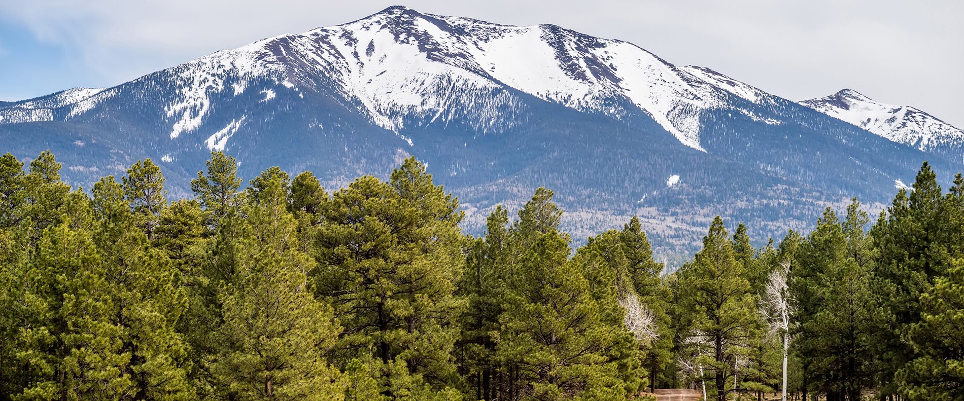 Phoenix To Flagstaff >> Flagstaff To Phoenix Shuttle Phoenix To Flagstaff >> Flagstaff To Phoenix Shuttle