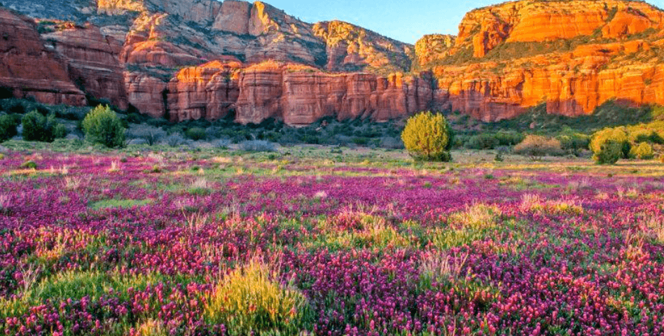 When Do Uber Drivers Get Paid >> How To Get From Phoenix to Sedona When Do Uber Drivers Get Paid >> How To Get From Phoenix to Sedona